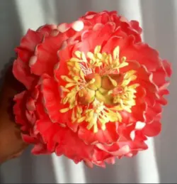 بودکور ست کاتر گلسازی 4 تایی پیونی 230052