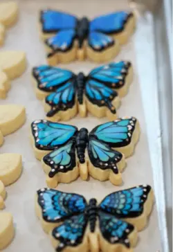 بودکور کاتر کوکیز پروانه 2700170