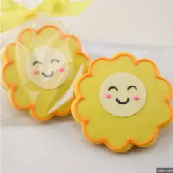 بودکور کاتر کوکیز خورشیدی نرم 2700115