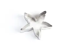 بودکور کاتر کوکیز ستاره دریایی 270072