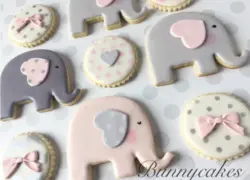 بودکور کاتر کوکیز فیل کارتونی 270038