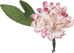 بودکور ست کاتر گلسازی پیونی طرح ویلتون 230039