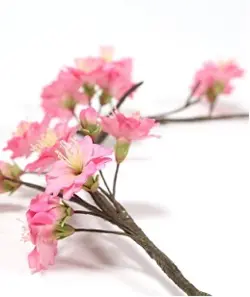 بودکور ست کاتر گلسازی شکوفه چند منظوره 230059