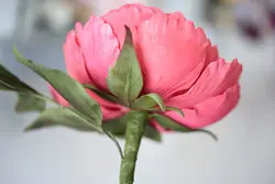 بودکور ست کاتر گلسازی کاسبرگ رز بزرگ 230043