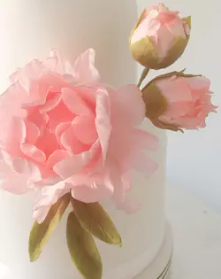 بودکور ست کاتر گلسازی گل پیونی با غنچه 230081