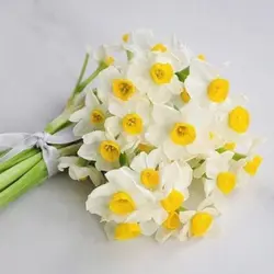 بودکور ست کاتر گلسازی گل نرگس 230080