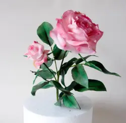 بودکور ست کاتر گلسازی گلبرگ رز هلندی 230076