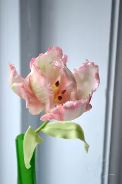 بودکور ست کاتر گلسازی لاله پروت 23006