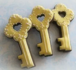 بودکور کاتر کوکیز کلید 2700164