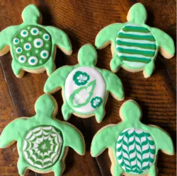 بودکور کاتر کوکیز لاکپشت 2700100