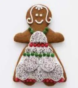 بودکور کاتر کوکیز مدل جیجر برد دختر 2700117