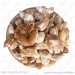 بادام پوست کاغذی شور درجه یک سوغات شیراز بسته 1 کیلویی