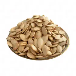 تخمه کدو گوشتی شور اعلا سوغات شیراز بسته 1 کیلویی