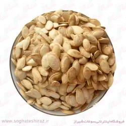 تخمه کدو گوشتی شور اعلا سوغات شیراز بسته 1 کیلویی