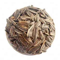 تخمه آفتابگردان درجه یک سوغات شیراز بسته 1 کیلویی