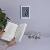 کتاب نیمکت داغ اثر حمیدرضا صدر نشر چشمه