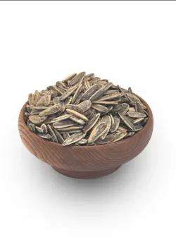 تخمه آفتاب گردان | هدیه عسل