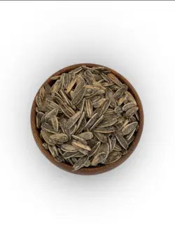 تخمه آفتاب گردان | هدیه عسل