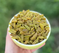 کشمش سبز ایرانی | هدیه عسل