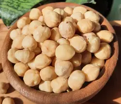 مغز فندوق | هدیه عسل