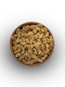 توت خشک | هدیه عسل