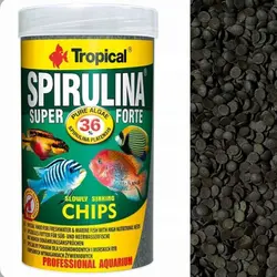 غذای چیپسی اسپیرولینا تروپیکال