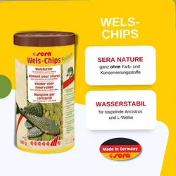 غذای چیپس سرا wels chips