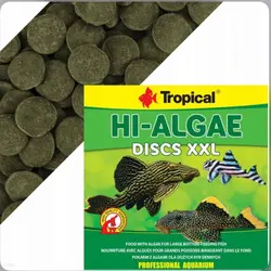 قرص تروپیکال های الجی«جلبک»