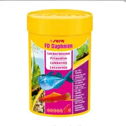 غذای دافنی سرا