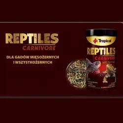 غذای لاک پشت رپتایل کارنی وور تروپیکال