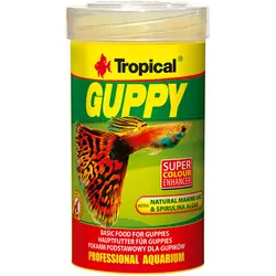 غذای ماهی تروپیکال مدل Guppy وزن 20 گرم