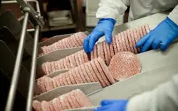 همبرگر زن 13 سانت کارسان مدل AK_1300