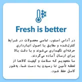 بوگیر ماشین ظرفشویی با رایحه لیمو فینیش