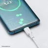 کابل 1.2 متر USB-C به USB-C برند BENKS