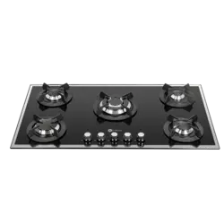 گاز درسا مدل DG2110-5M