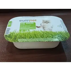 بذر علف گربه دارای خاک یوروپت - پت شاپ میکی