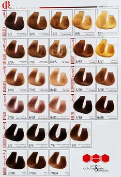 رنگ موی جی بی پلاس سری کاپوچینو شماره 5/56 رنگ کاپوچینو تیره حجم 100 میل - GB PLUS