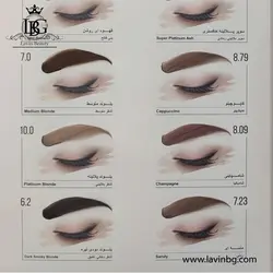 کیت رنگ ابرو ماگرای شماره 8/09 شامپاینی حجم 30 میل - Magray