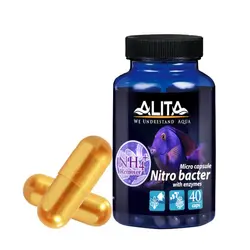 باکتری کپسولی آلیتا Alita