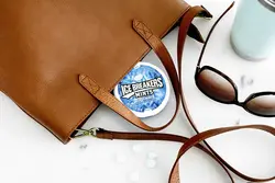 قرص خوشبوکننده دهان آیس بریکرز Ice Breakers با طعم نعناع