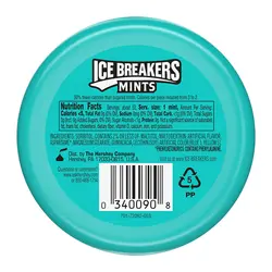 قرص خوشبوکننده دهان آیس بریکرز Ice Breakers مدل Wintergreen