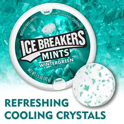 قرص خوشبوکننده دهان آیس بریکرز Ice Breakers مدل Wintergreen