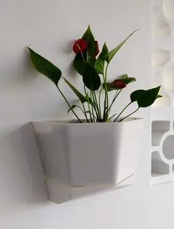 گلدان دیوار ی طرح ونوس 2 DECO