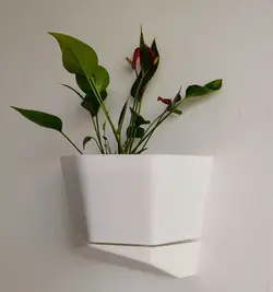 گلدان دیوار ی طرح ونوس 2 DECO