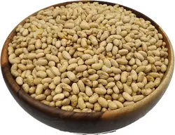 سویا آجیلی | عمو آجیل