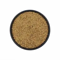 عدس ریز | عمو آجیل