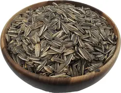 تخمه سنقری اعلا | عمو آجیل