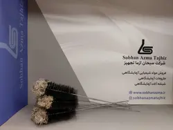 ارلن شور