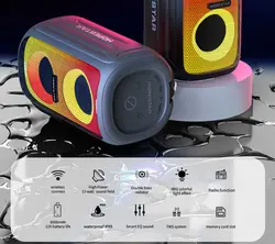 اسپیکر قابل حمل هوپ استار مدل HOPESTAR Party-110 mini