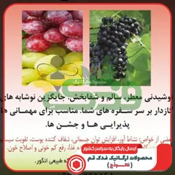 سرکه شیره فدک (600گرم)